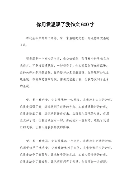 你用爱温暖了我作文600字