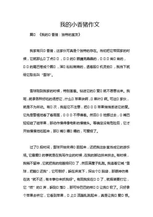 我的小香猪作文