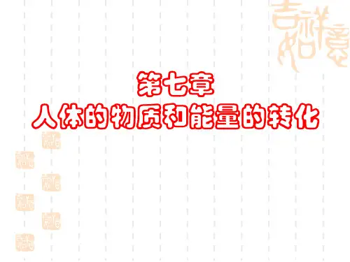 食物的消化和吸收及人体的呼吸
