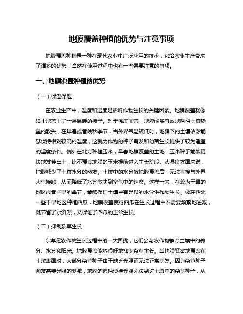地膜覆盖种植的优势与注意事项