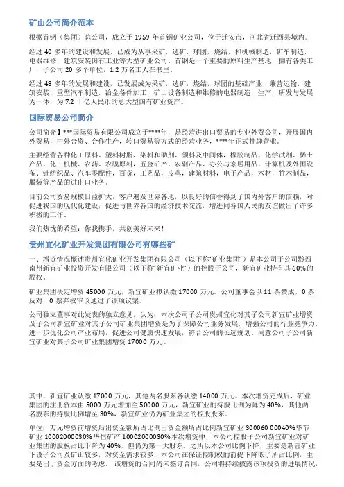 矿产公司简介范文