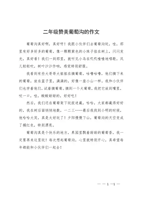 二年级赞美葡萄沟的作文