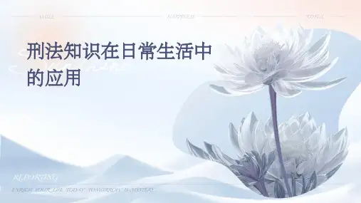 刑法知识在日常生活中的应用