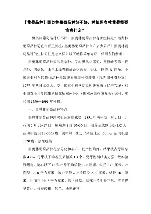 【葡萄品种】黑奥林葡萄品种好不好,种植黑奥林葡萄需要注意什么？