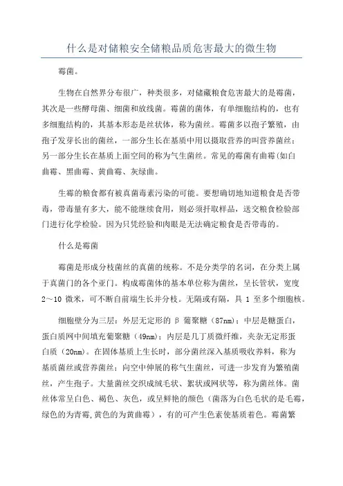 什么是对储粮安全储粮品质危害最大的微生物
