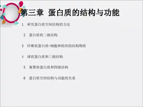 蛋白质的结构与功能(3)