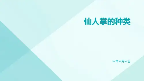 仙人掌的种类