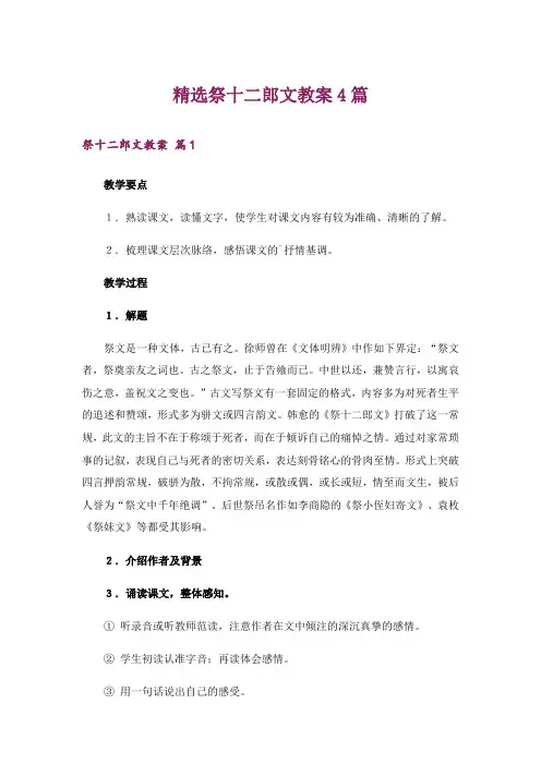 精选祭十二郎文教案4篇