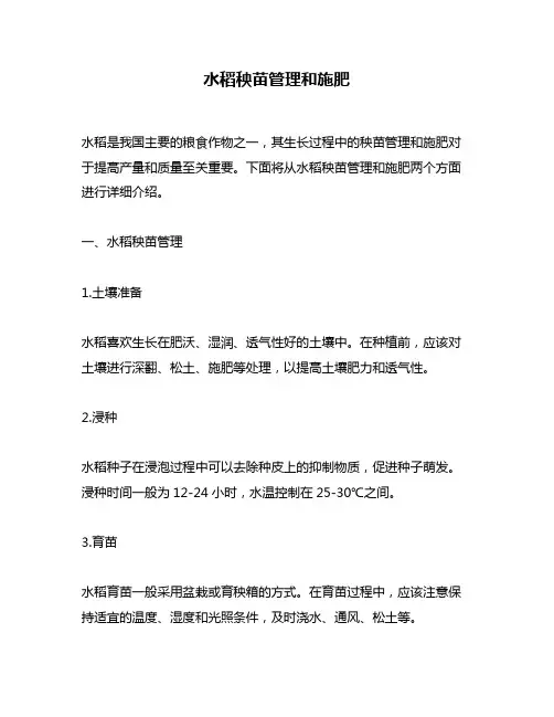 水稻秧苗管理和施肥