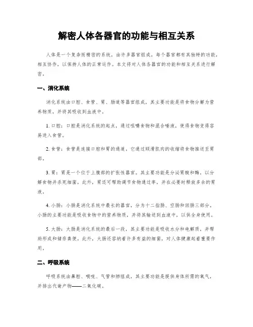 解密人体各器官的功能与相互关系