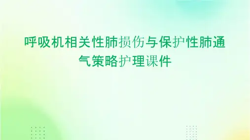 呼吸机相关性肺损伤与保护性肺通气策略护理课件