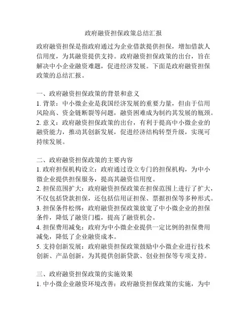 政府融资担保政策总结汇报