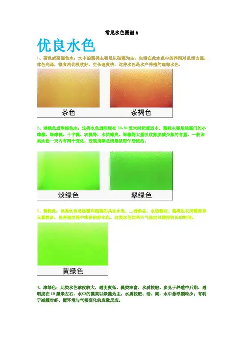 常见水色图谱A