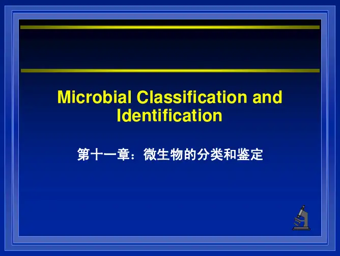 微生物学kejian11