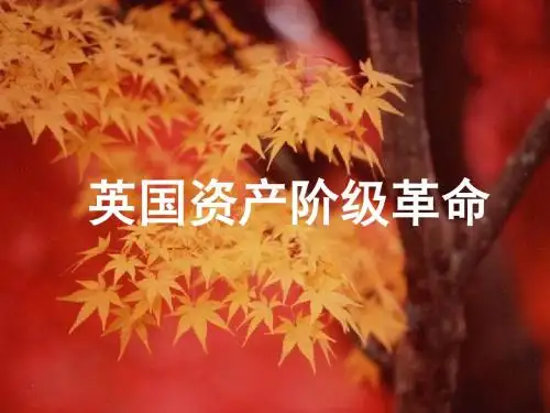 人教版九年级历史11《英国资产阶级革命》课件
