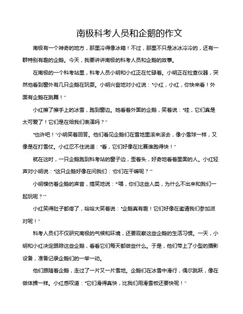 南极科考人员和企鹅的作文