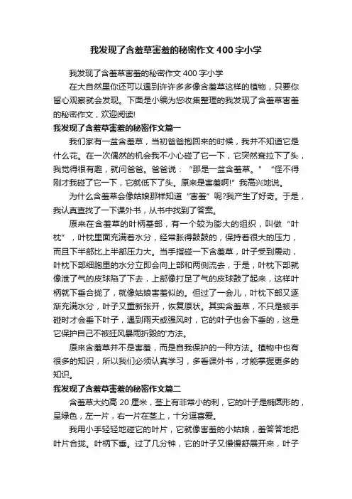 我发现了含羞草害羞的秘密作文400字小学