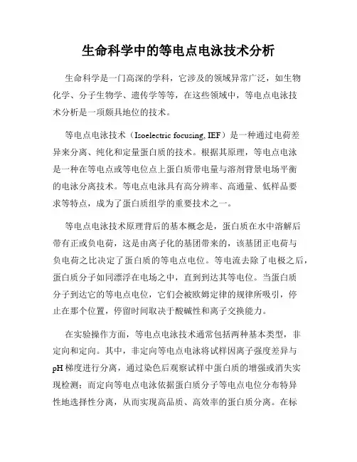 生命科学中的等电点电泳技术分析