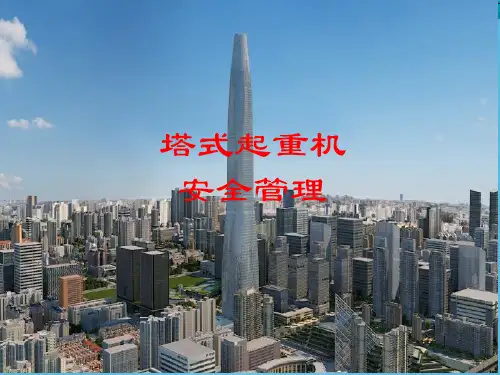塔式起重机安全管理培训讲义(94页,图片丰富)PPT