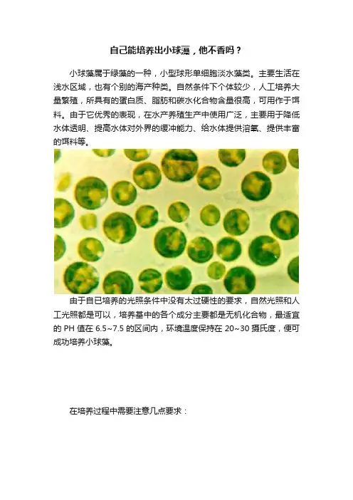 自己能培养出小球藻，他不香吗？