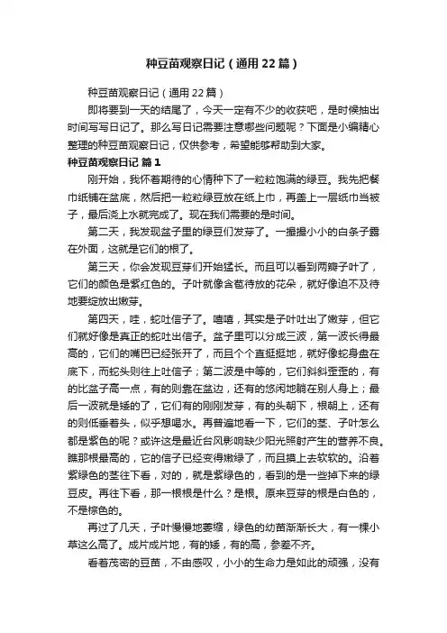种豆苗观察日记（通用22篇）