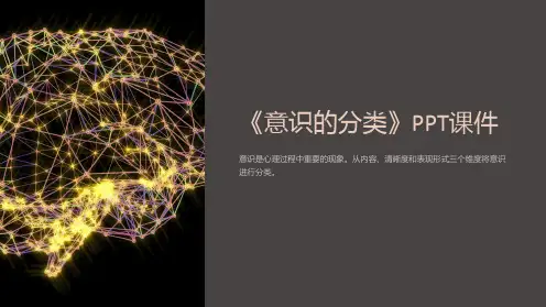 《意识的分类》课件