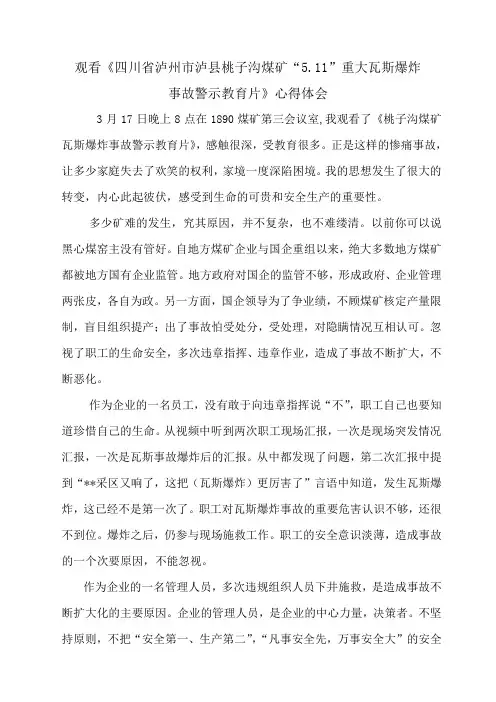 观看四川泸州桃子沟煤矿“5.11”事故警示教育片心得体会