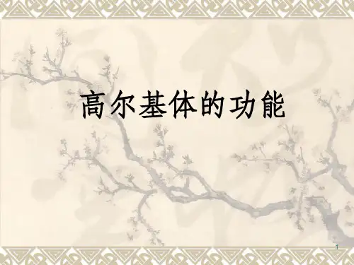 高尔基体的功能
