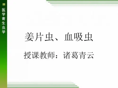 姜片虫、血吸虫(诸葛定稿)