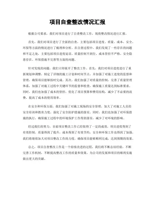 项目自查整改情况汇报
