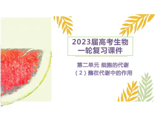2023届高考生物一轮复习第二单元 细胞的代谢（2）酶在代谢中的作用（课件） 