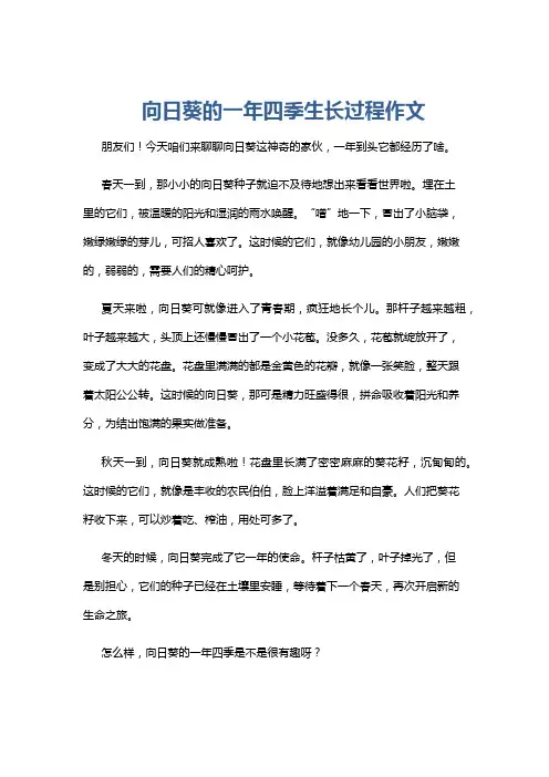 向日葵的一年四季生长过程作文