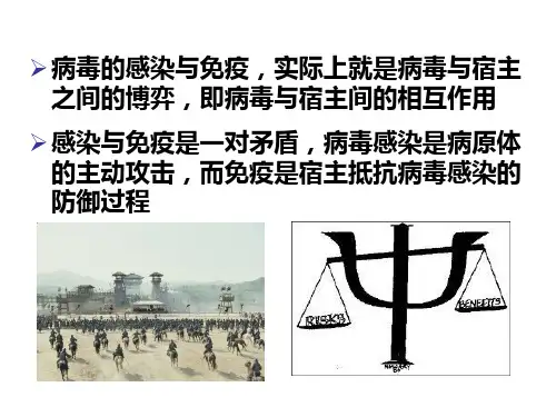 《动物病毒学》课件：第六章 病毒的感染与免疫