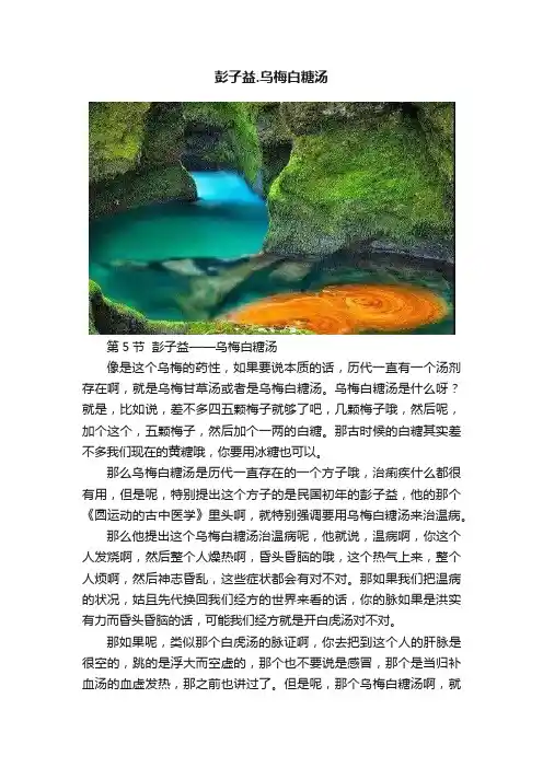 彭子益.乌梅白糖汤