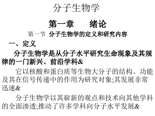 分子生物学课件