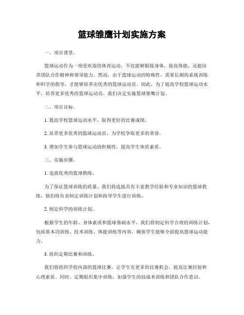 篮球雏鹰计划实施方案