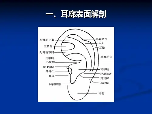 中医耳穴压豆课件