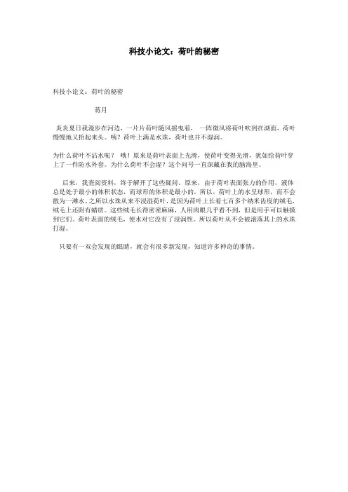 科技小论文：荷叶的秘密