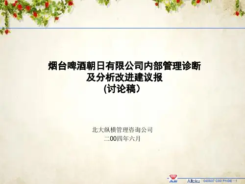 某公司内部管理诊断及分析改进建议报告(PPT 49页)