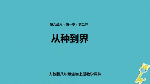 从种到界PPT课件