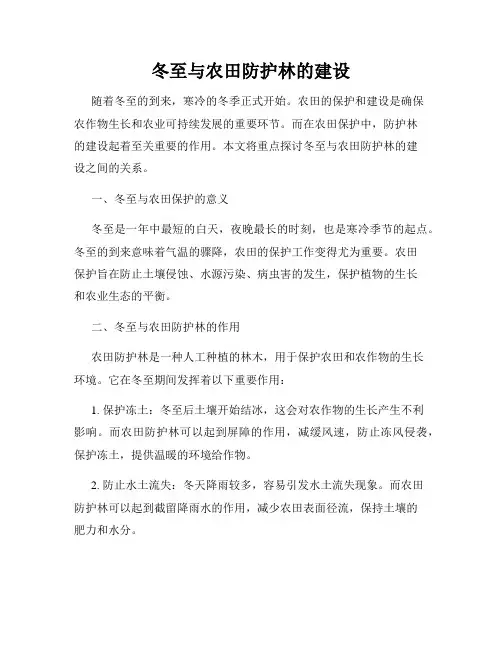 冬至与农田防护林的建设