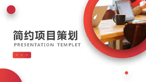 红色项目策划PPT