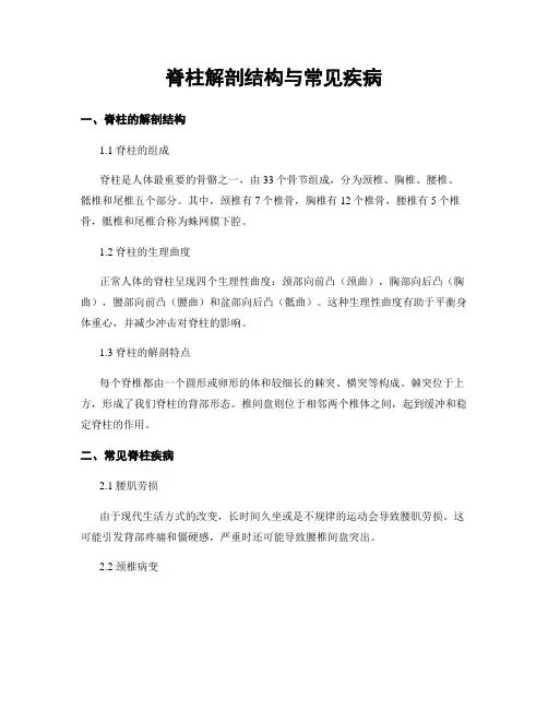 脊柱解剖结构与常见疾病
