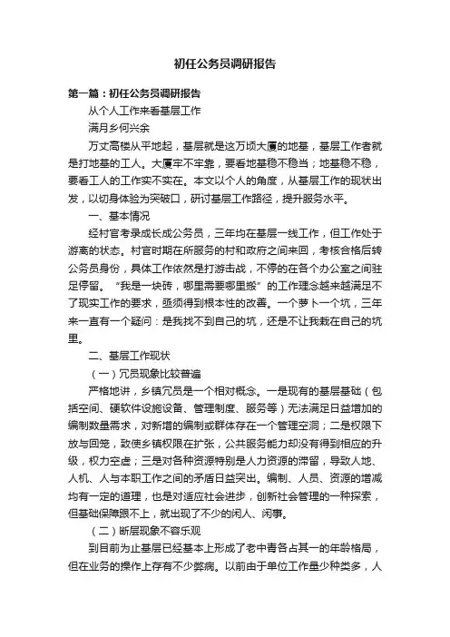 初任公务员调研报告