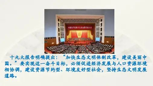 6.1正视发展挑战-课件ppt