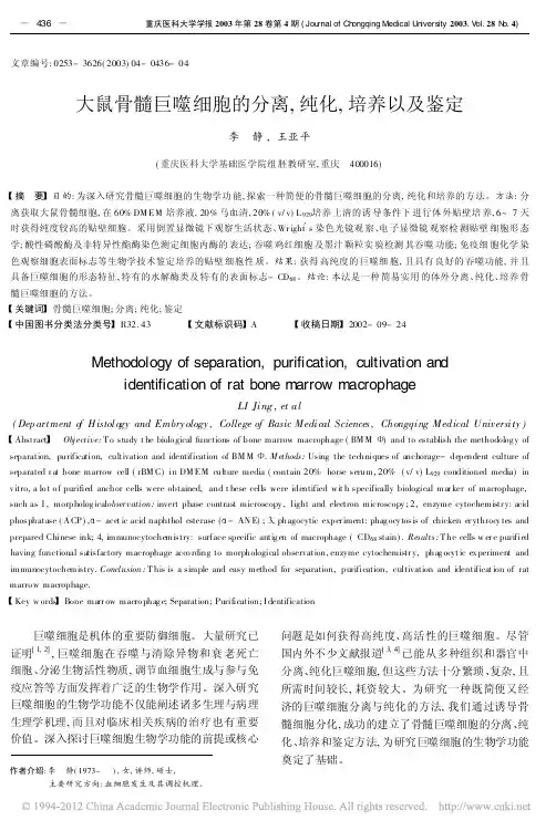 大鼠骨髓巨噬细胞的分离_纯化_培养以及鉴定_李静