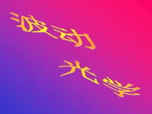 光的偏振 课件