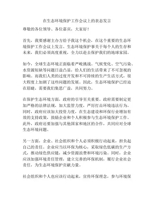 在生态环境保护工作会议上的表态发言