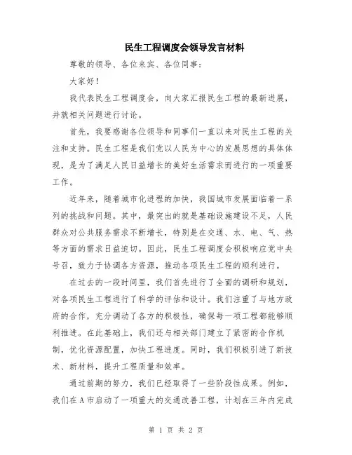 民生工程调度会领导发言材料