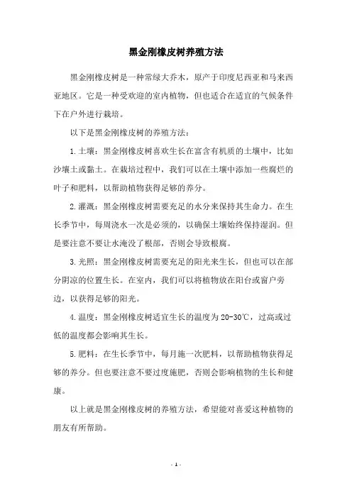 黑金刚橡皮树养殖方法